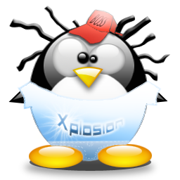 penguin pingouin pinguino 496